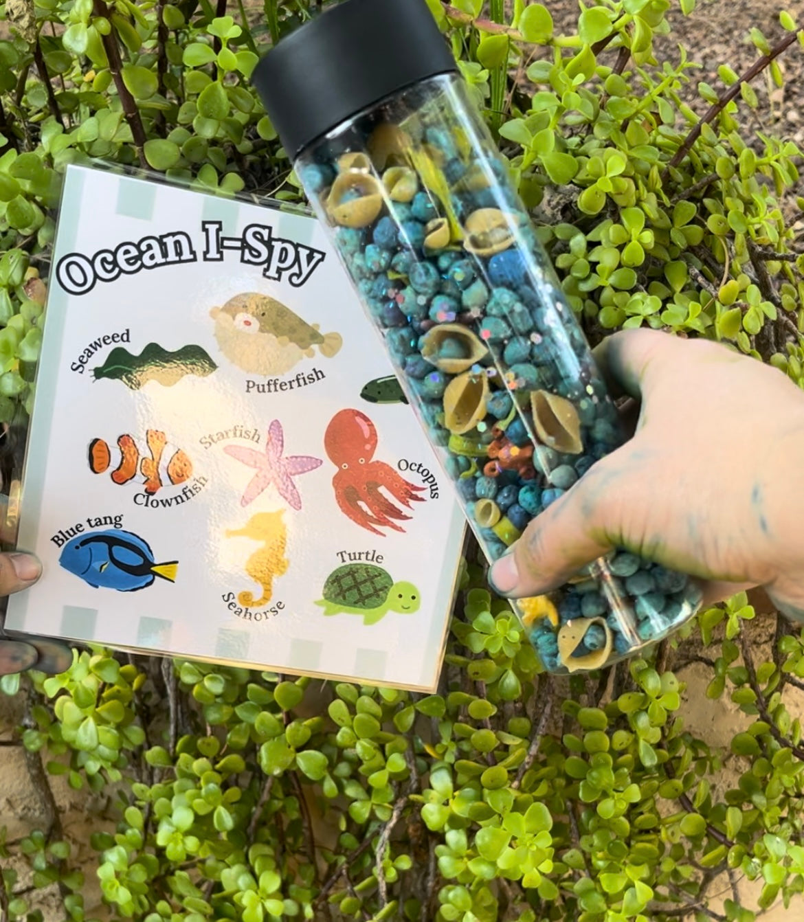 Ocean Sensory Bottle & I-Spy Sheet